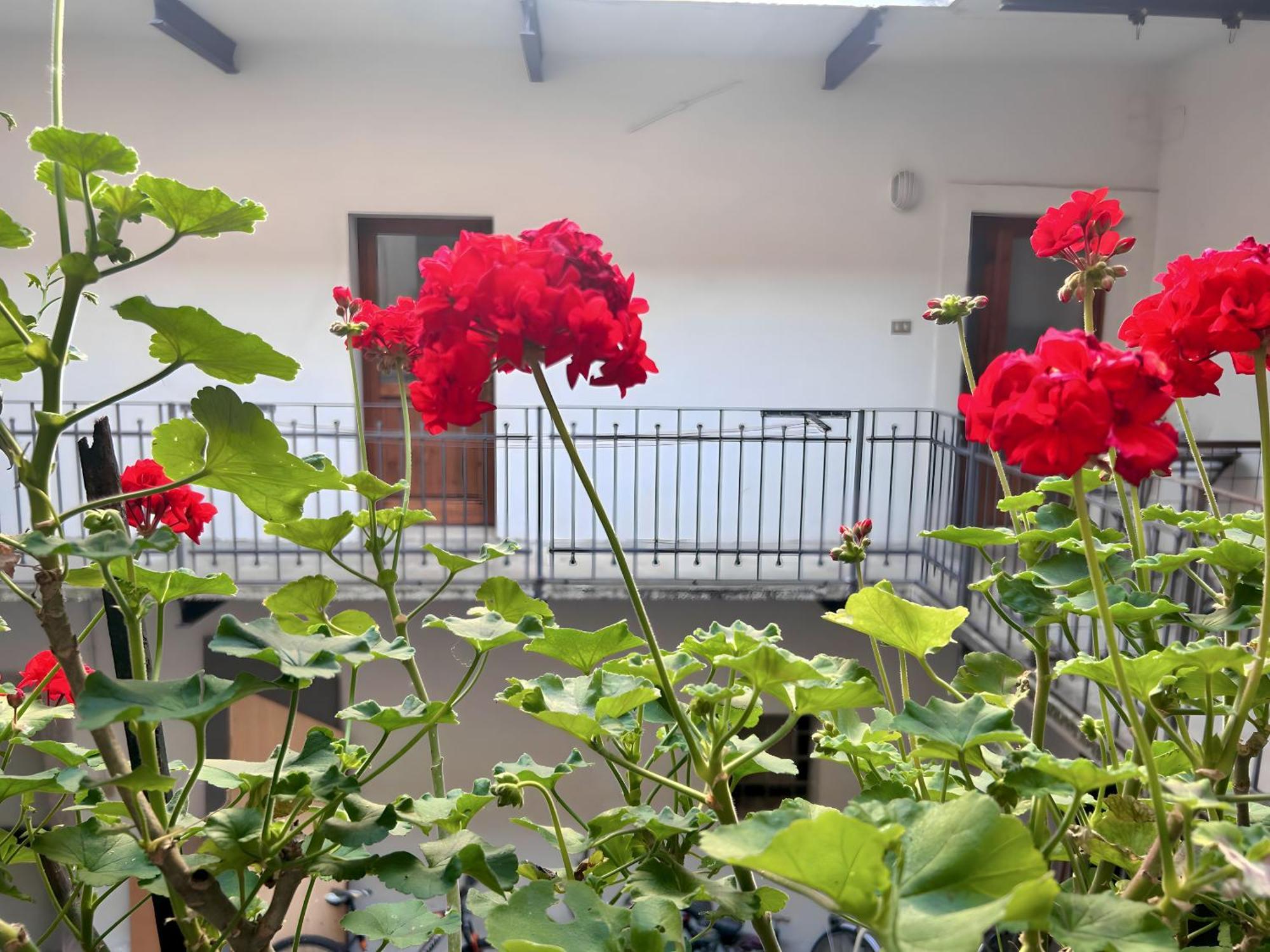 Gorizia Holiday Inn Rastello Suite Eksteriør billede